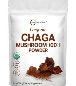 Chaga Mushroom Powder